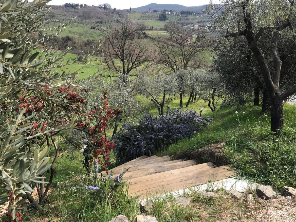 La Casa Di Demetra. Un Paradiso Tra Gli Olivi. Montecchio  Exterior photo